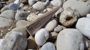Steine und Holzstück. Foto: Ekol